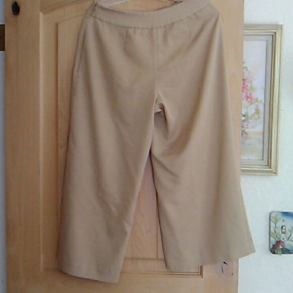 Nic +Zoe Cropped Wide Leg Pants Beigecore - Picture 4 of 9